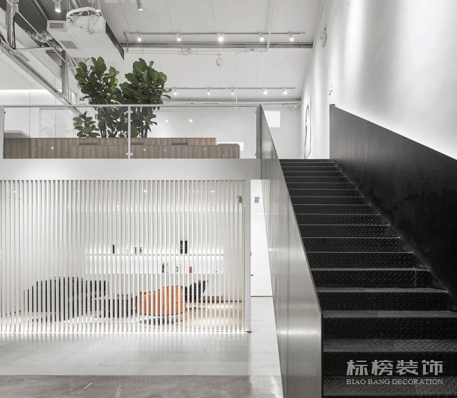 辦公室植物擺放植物有哪些，怎么擺放比較好？